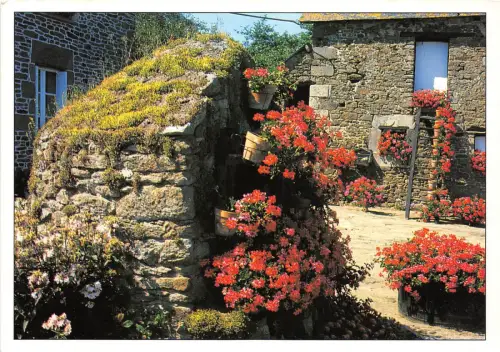 B50073 Terre de Bretagne Frankreich