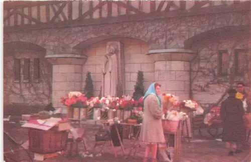 BR4806 Rouen Le vieux marche france