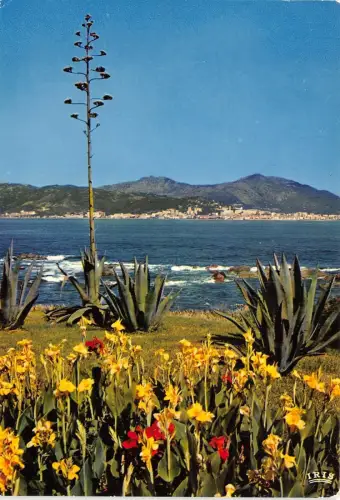 BR21075 Porticcio la baie d Ajaccio france