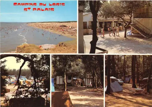 BR21481 saint palais sur mer france