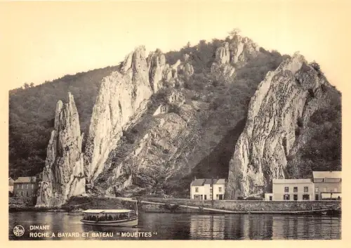 BR41425 Roche a bayard et bateau mouettes Dinant Belgien