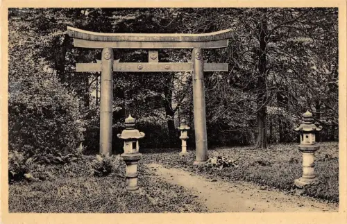 BR55896 Le Parc le rorll japonise Chateau de Marlemont Morlanwelz belgien