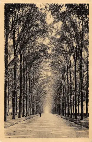 BR55902 Avenue du chateau Chateau de Marlemont Morlanwelz belgien