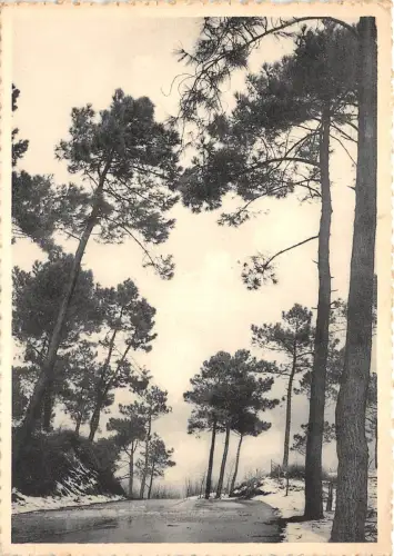 BR18084 Knocke Le Zoute la Sapiniere belgien