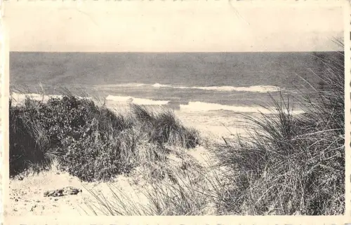 BR55466 Westende les dunes belgien