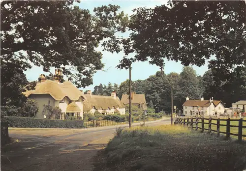 B87319 swan green near lyndhurst uk