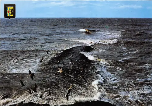 BG5249 un bonjour de la cote belge belgium