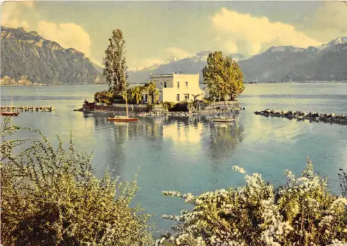 BR14275 Ile de Salagnon Lac leman france