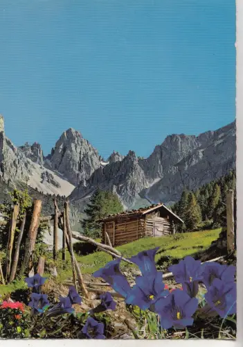 BF30799 gruss aus den bergen germany front/back image