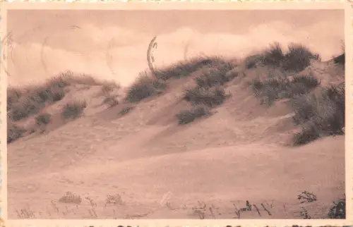 BR43057 Bredene s Mer les dunes eides Belgien