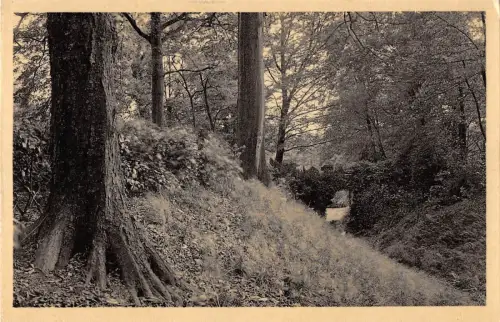 BR55900 Pont rustique le parc Chateau de Marlemont Morlanwelz belgien