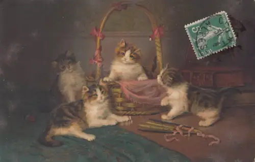 B78659 Katzen Chat Scan Vorder-/Rückseite Bild