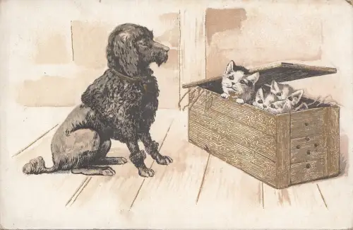 B78678 Hund Chien Katzen Chat Scan Vorder-/Rückseite Bild