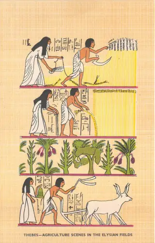 Lot221 Gemälde Postkarte Theben Ägypten Landwirtschaft Szenen in den elysischen Feldern