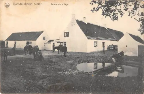 BR55046 Ferme de village cow vaches Oostudinkerke sur mer belgium