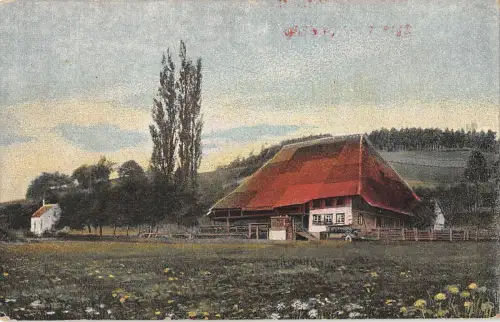 BR55343 Anvers Elixier Belgien