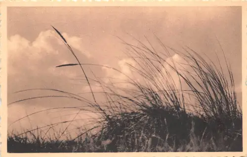 BR43041 Coxyde s Mer crepuscule Belgium