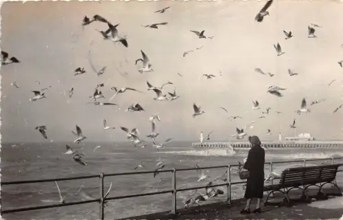 BR17661 Oostende les Mouttes belgium