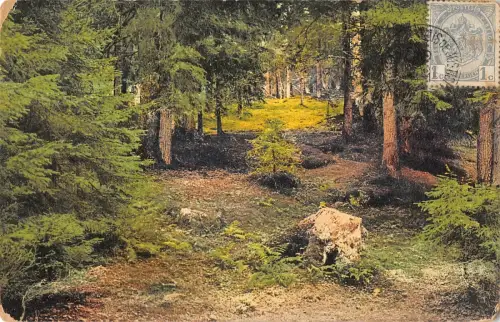 BR55186 Bruxelles belgium