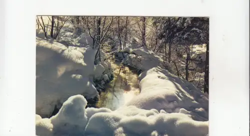 BF24801 scintillement l hiver dans nos montagnes france front/back image