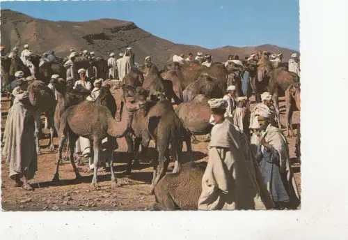 BF28353 marocco le maroc pittoresque front/back image
