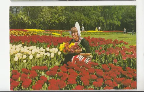 BF29494 holland in blementooi types niederlande front/back image