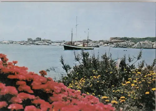 BF24448 cavallo en mai ship france front/back image