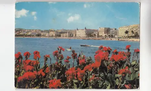 BF22286 cannes vue generale france front/back image