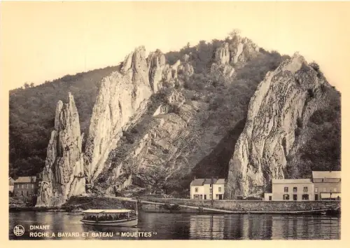 BR41424 Roche a bayard et bateau mouettes Dinant Belgien 1