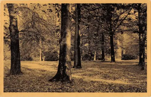BR55231 Le parc sous bois vers l entree principale Mariemont belgien