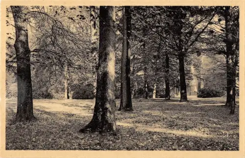 BR55240 Sous bois vers l entree pricipale Le parc Mariemont belgien