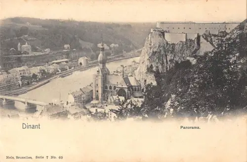 BR72501 Panorama Dinant Belgien