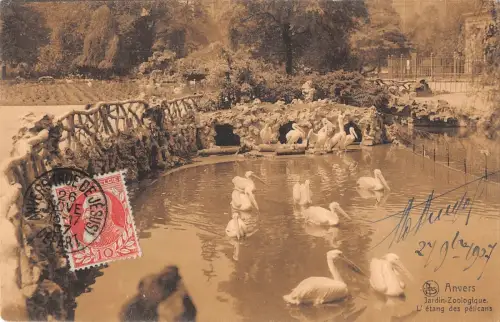 BR78134 anvers jardin zoologique l etang des pelicans belgium