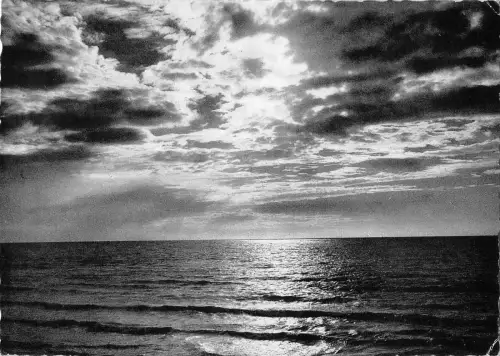 BG34529 les deux intinis belgien Echtfoto