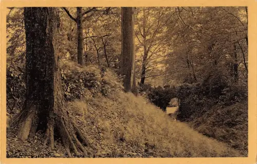 BR55237 Pont rustique Le parc Mariemont belgien