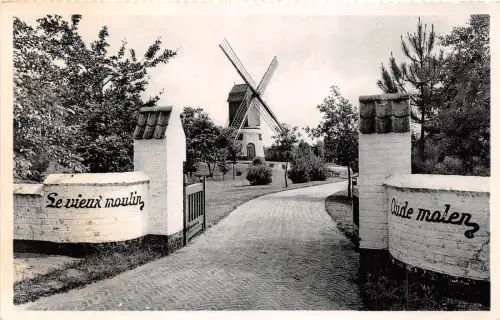 B93560 knokke zoute le vieux moulin windmühle mühle echtfoto belgien
