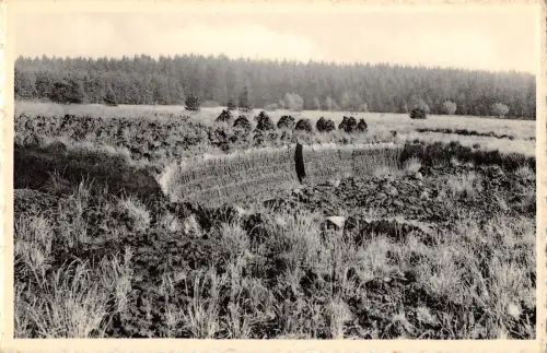 BR56034 La Baraque michel la fague Belgien