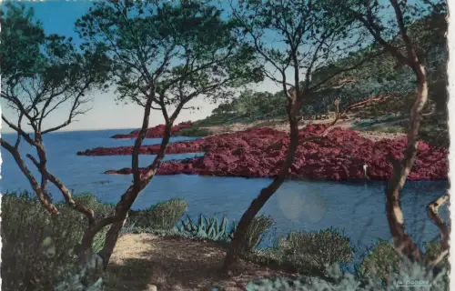 BF21778 corniche d or var une calanque france front/back image