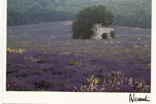 BF13194 Provence Enchantement Frankreich Vorder-/Rückbild