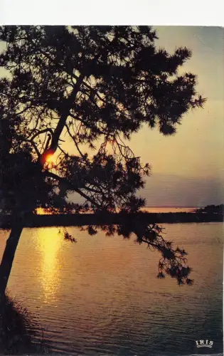 BF15108 cote atlantique landscape france front/back image