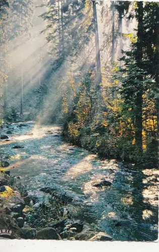 BF14264 torrent en montagne gebirgsfluss mountain torre france front/back image