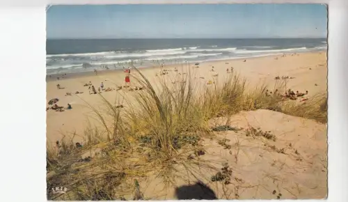 BF19918 hourtin plage gironde la plage france front/back image
