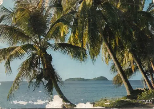 BF27989 guadeloupe bords de mer seaside caribbean island front/back image