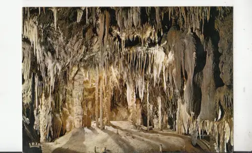 BF24618 gorges de l ardeche aven grotte marzal la salle france front/back image