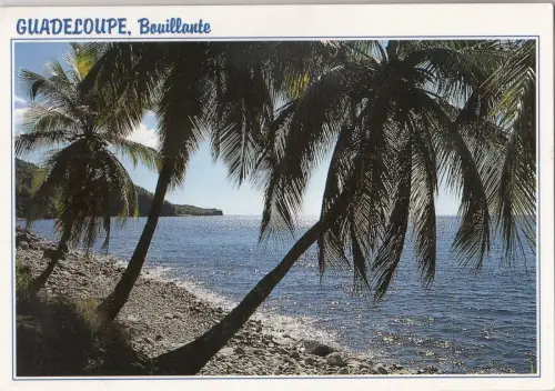 BF24313 Bouillante Guadeloupe Frankreich Vorder-/Rückbild