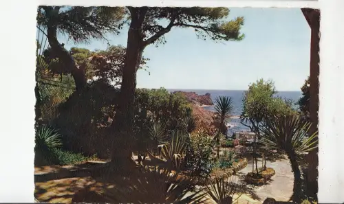 BF31309 paysage mediterraneen 06 cote d azur france front/back image