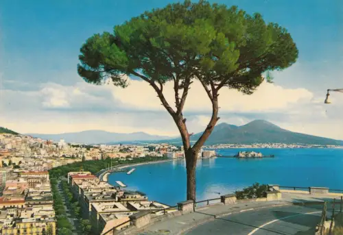 BF23228 Panorama General Viewi Napoli Italien Vorder-/Rückbild