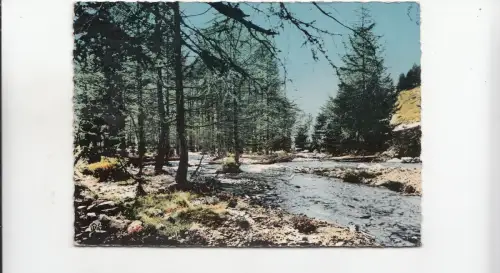 BF21813 isola a m sous bois castillon france front/back image