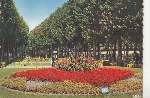 BF20156 vichy allier reine des villes d eaux parc du ca france front/back image