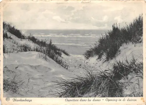 BR41087 Blankenberge ouverture dans les dunes Belgien